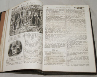 WUJEK- BIBLIA  to jest księgi STAREGO TESTAMENTU wyd. 1860r. setki rycin - 7