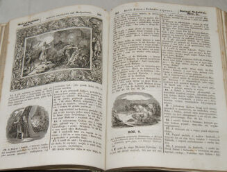 WUJEK- BIBLIA  to jest księgi STAREGO TESTAMENTU wyd. 1860r. setki rycin - 8