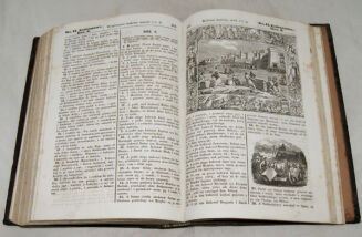 WUJEK- BIBLIA  to jest księgi STAREGO TESTAMENTU wyd. 1860r. setki rycin - 9