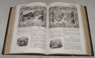 WUJEK- BIBLIA  to jest księgi STAREGO TESTAMENTU wyd. 1860r. setki rycin - 11