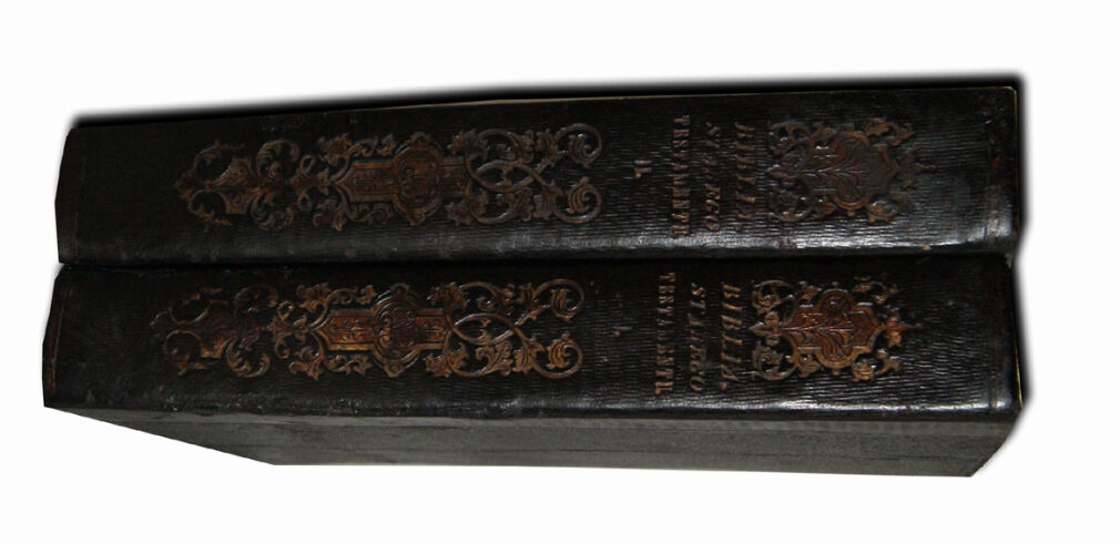 WUJEK- BIBLIA  to jest księgi STAREGO TESTAMENTU wyd. 1860r. setki rycin