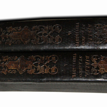 WUJEK- BIBLIA  to jest księgi STAREGO TESTAMENTU wyd. 1860r. setki rycin