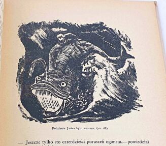 ROMIN - CUDOWNE WAKACJE JANKA-SZEWCZYKA wyd. 1934 - 12