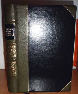NIEMCEWICZ- PAMIĘTNIKI wyd. 1871r. GRZBIET MAROKIN - 2