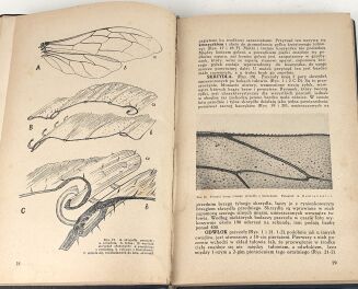 DEMIANOWICZ - PSZCZOŁY ICH ŻYCIE I HODOWLA - 2