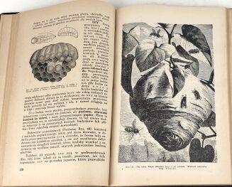 DEMIANOWICZ - PSZCZOŁY ICH ŻYCIE I HODOWLA - 4