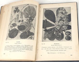 DEMIANOWICZ - PSZCZOŁY ICH ŻYCIE I HODOWLA - 7