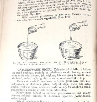 DEMIANOWICZ - PSZCZOŁY ICH ŻYCIE I HODOWLA - 8