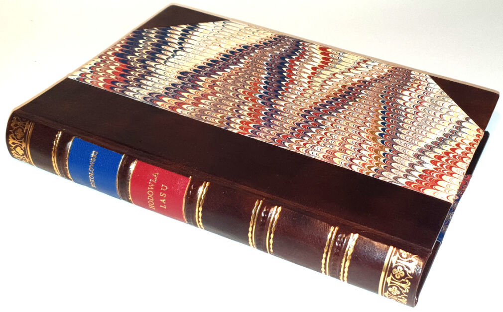 SOKOŁOWSKI - HODOWLA LASU wyd. Lwów - Warszawa 1921r.