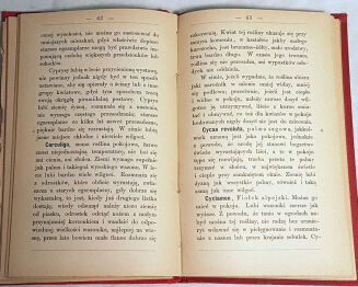 MIEROSZOWSKA - KWIATY W POKOJU wyd. 1893 - 3