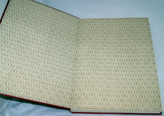 MICKIEWICZ- PAN TADEUSZ z illustracjami E. M. Andriollego OPRAWA folio - 2