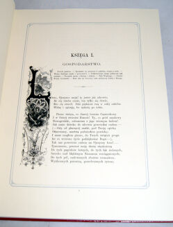 MICKIEWICZ- PAN TADEUSZ z illustracjami E. M. Andriollego OPRAWA folio - 9