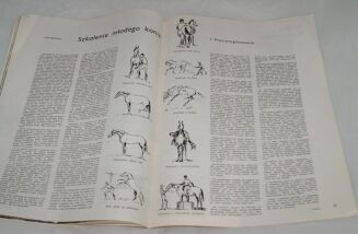 KOŃ POLSKI 1969 nr 3 - 3