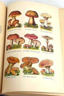 NOWOCZESNA KUCHNIA DOMOWA wyd.1939r. - 8