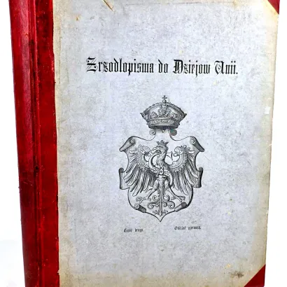 DZIAŁYŃSKI - ŹRÓDŁOPISMA DO DZIEJÓW UNII KORONY POLSKIEJ I W. X. LITEWSKIEGO. cz Ii, oddział I. Proweniencja Czartoryski