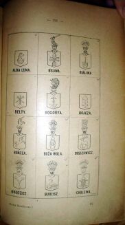 MAŁECKI- STUDYA HERALDYCZNE wyd. 1890r. t.I-II [KOMPLET] skóra - 8