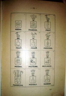 MAŁECKI- STUDYA HERALDYCZNE wyd. 1890r. t.I-II [KOMPLET] skóra - 9