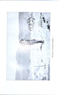 KAROL MAY - WINNETOU t.1-3 [komplet] wyd.1, oprawa wydawnicza - 9