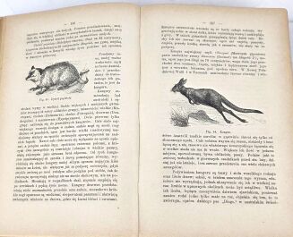 BREHM- KRÓLESTWO ZWIERZĄT. OBRAZY Z ŻYCIA I OBYCZAJÓW ŚWIATA ZWIERZĘCEGO wyd. 1893 - 6