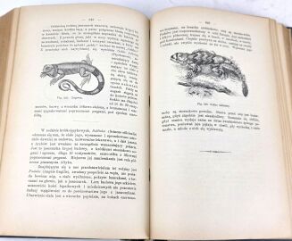 BREHM- KRÓLESTWO ZWIERZĄT. OBRAZY Z ŻYCIA I OBYCZAJÓW ŚWIATA ZWIERZĘCEGO wyd. 1893 - 15
