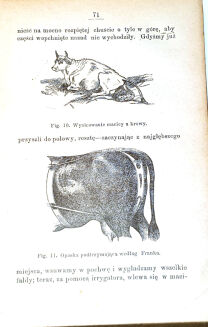ROHLWES - NAUKA LECZENIA ZWIERZĄT DOMOWYCH z 66 drzeworytami w tekście. Warszawa 1893 - 3