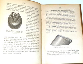 ROHLWES - NAUKA LECZENIA ZWIERZĄT DOMOWYCH z 66 drzeworytami w tekście. Warszawa 1893 - 4