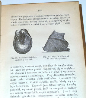 ROHLWES - NAUKA LECZENIA ZWIERZĄT DOMOWYCH z 66 drzeworytami w tekście. Warszawa 1893 - 5