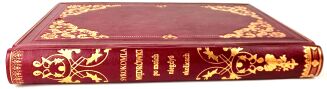 SYROKOMLA- WĘDRÓWKI PO MOICH NIEGDYŚ OKOLICACH Wilno 1853 - 5