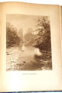 NIEDBAŁ- Z ŁOWISK WIELKOPOLSKICH wyd. 1923 - 4