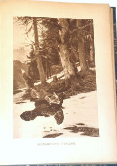 NIEDBAŁ- Z ŁOWISK WIELKOPOLSKICH wyd. 1923 - 6