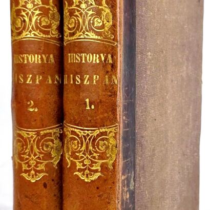 DZIEKOŃSKI - HISTORYA HISZPANII t. I-II [komplet w 2 wol.] wyd. 18523