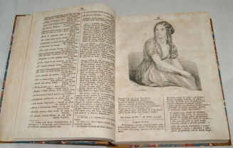 PRZYJACIEL LUDU czyli Tygodnik potrzebnych i pożytecznych wiadomości Rocznik XIV 1847r. litografie - 7