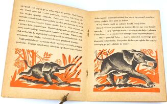 OSSENDOWSKI - DIMBO il. Tadeusza Lipskiego - 4