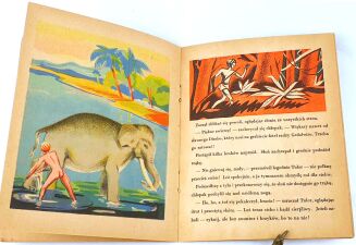 OSSENDOWSKI - DIMBO il. Tadeusza Lipskiego - 5