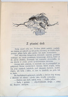 LEWICKA - WŚRÓD NASZYCH ŁĄK I BORÓW 1930 - 3