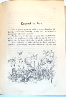 LEWICKA - WŚRÓD NASZYCH ŁĄK I BORÓW 1930 - 5