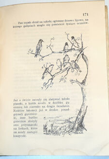 LEWICKA - WŚRÓD NASZYCH ŁĄK I BORÓW 1930 - 4