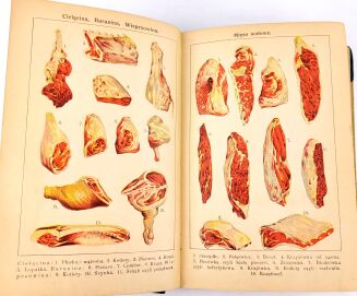 OCHOROWICZ-MONATOWA- UNIWERSALNA KSIĄŻKA KUCHARSKA. ILUSTRACJE I KOLOROWE TABLICE - 5