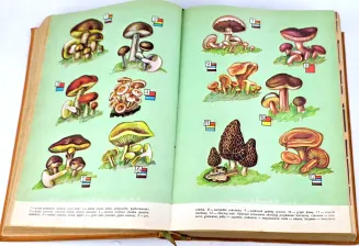KUCHARZ GASTRONOM wyd.2, 1965 - 4