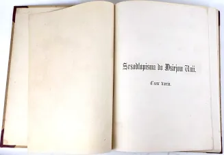 DZIAŁYŃSKI - ŹRÓDŁOPISMA DO DZIEJÓW UNII KORONY POLSKIEJ I W. X. LITEWSKIEGO. cz III. DIARYUSZ LUBELSKIEGO SEJMU UNII. ROK 1569. Proweniencja Czartoryski - 2