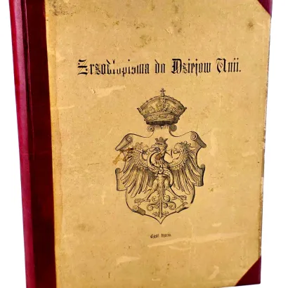 DZIAŁYŃSKI - ŹRÓDŁOPISMA DO DZIEJÓW UNII KORONY POLSKIEJ I W. X. LITEWSKIEGO. cz III. DIARYUSZ LUBELSKIEGO SEJMU UNII. ROK 1569. Proweniencja Czartoryski