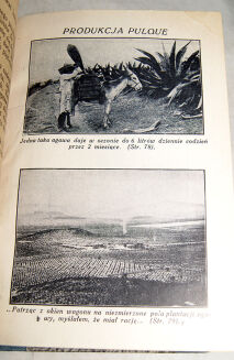WAŃKOWICZ- W KOŚCIOŁACH MEKSYKU wyd. 1927 [RÓJ]  - 5