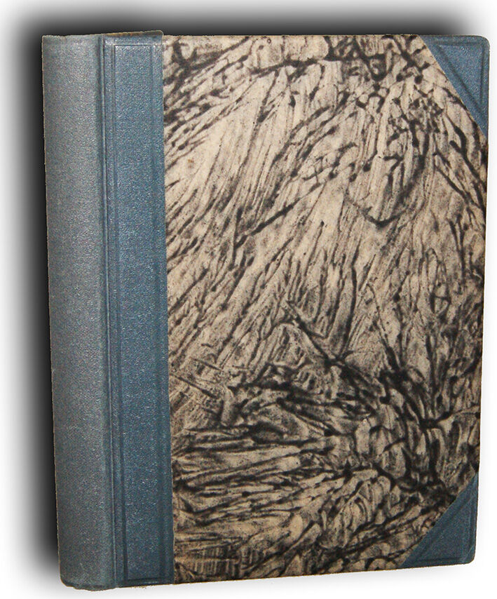 WAŃKOWICZ- W KOŚCIOŁACH MEKSYKU wyd. 1927 [RÓJ] 