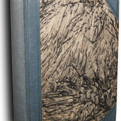 WAŃKOWICZ- W KOŚCIOŁACH MEKSYKU wyd. 1927 [RÓJ] 