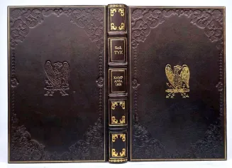 SOŁTYK- KAMPANIA 1809 R. wyd. 1906 - 2