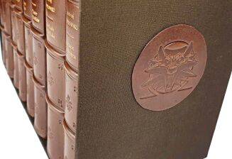 SAPKOWSKI - THE WITCHER complete series, leather binding - 3