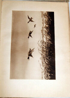 EJSMOND - MOJE PRZYGODY ŁOWIECKIE Poznań 1929 - 8