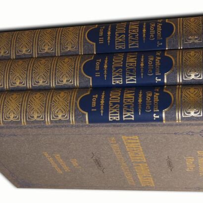DR. ANTONI J. (ROLLE) - ZAMECZKI PODOLSKIE Tom I-III [komplet] reprint