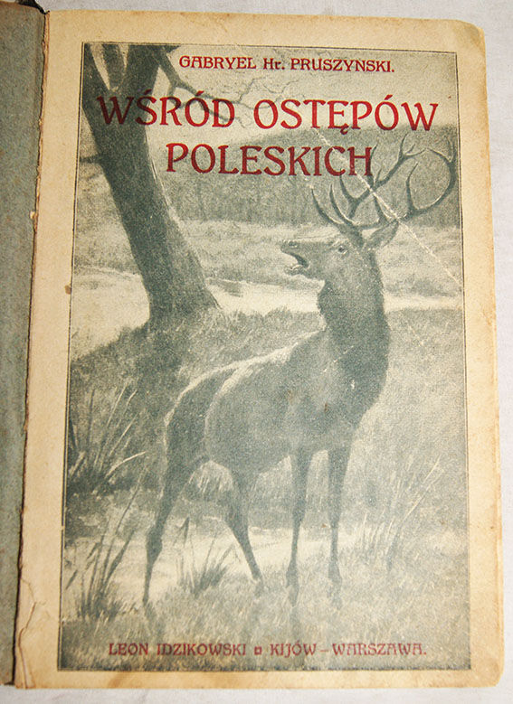 PRUSZYŃSKI- WŚRÓD OSTĘPÓW POLESKICH wyd. 1914