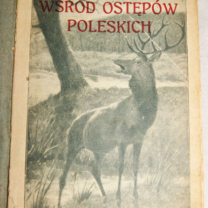 PRUSZYŃSKI- WŚRÓD OSTĘPÓW POLESKICH wyd. 1914